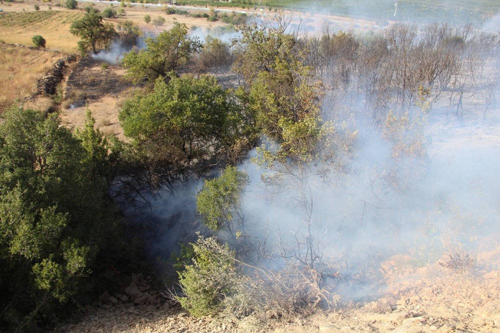 Manisa'da ormanlık alanda yangın