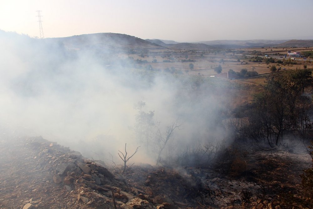 Manisa'da ormanlık alanda yangın