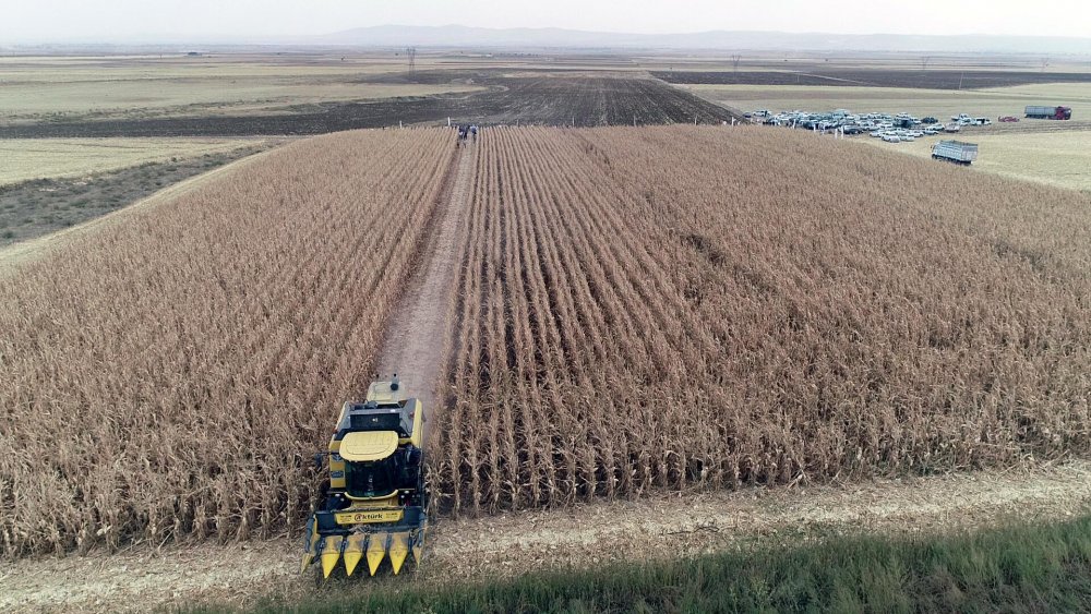 Tarım Kredi Kooperatifleri Genel Müdürü: Her alanda kendi göbeğimizi kendimiz kesmemiz lazım