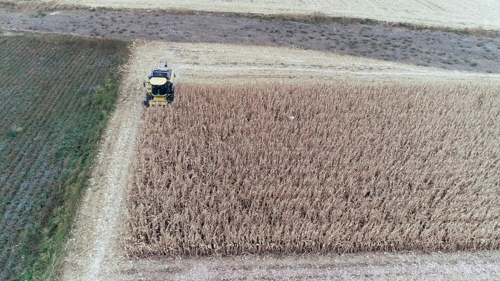 Tarım Kredi Kooperatifleri Genel Müdürü: Her alanda kendi göbeğimizi kendimiz kesmemiz lazım