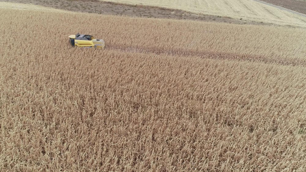 Tarım Kredi Kooperatifleri Genel Müdürü: Her alanda kendi göbeğimizi kendimiz kesmemiz lazım
