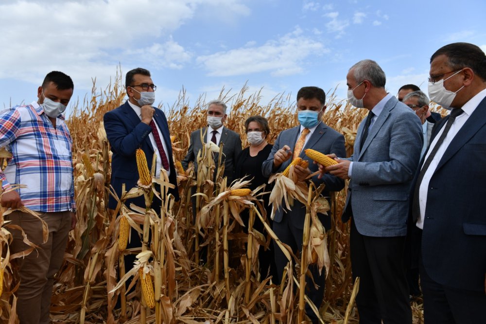 Tarım Kredi Kooperatifleri Genel Müdürü: Her alanda kendi göbeğimizi kendimiz kesmemiz lazım
