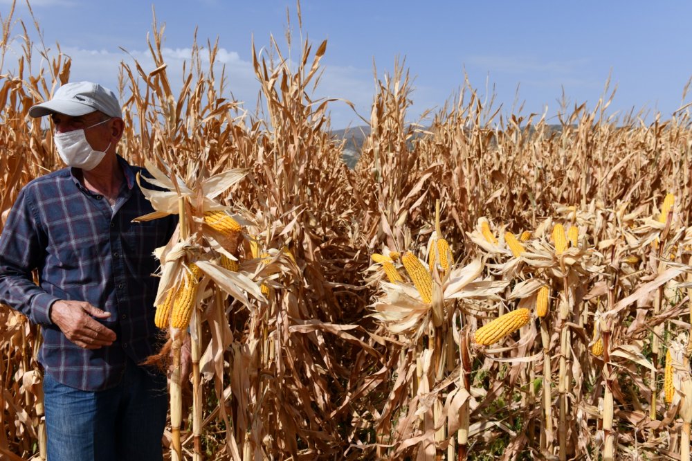 Tarım Kredi Kooperatifleri Genel Müdürü: Her alanda kendi göbeğimizi kendimiz kesmemiz lazım