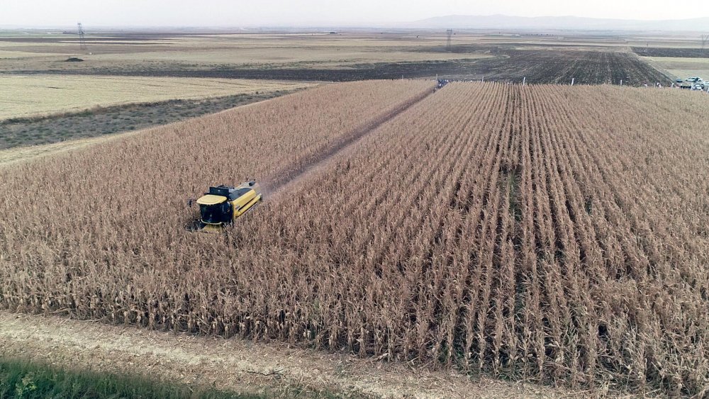 Tarım Kredi Kooperatifleri Genel Müdürü: Her alanda kendi göbeğimizi kendimiz kesmemiz lazım
