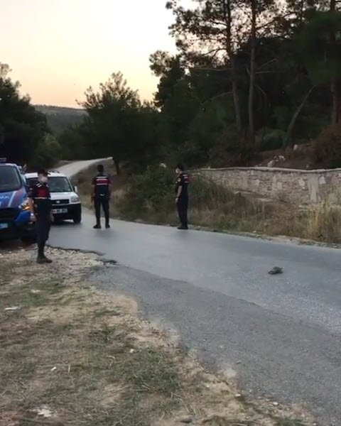 Uşak'ta hayvanları koruma gününde jandarma yürekleri ısıttı