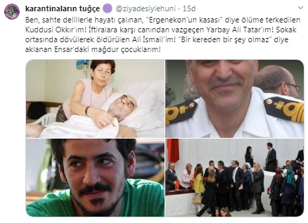 sen-1.jpg
