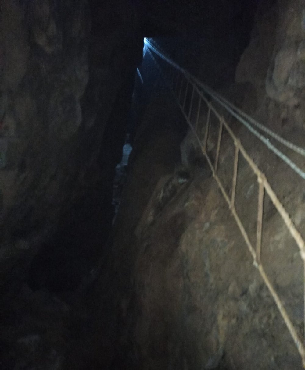 Manisa'da, kaçak kazı yapan 4 şüpheliye suçüstü