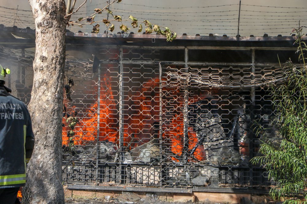 Mobilya atölyesi ve deposu alev alev yandı