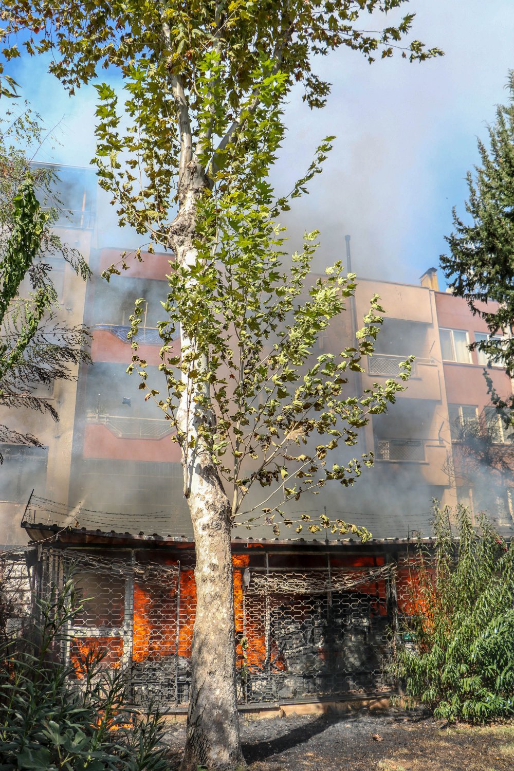 Mobilya atölyesi ve deposu alev alev yandı