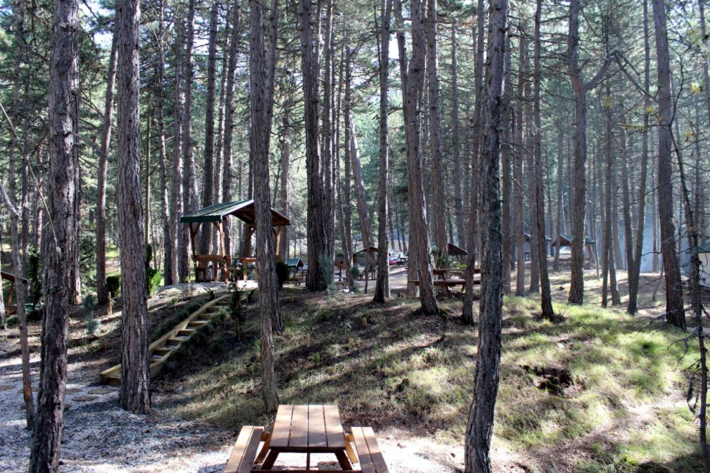 Otel yangınında tahrip olan Dipsizgöl Tabiat Parkı, eski görünümüne kavuştu