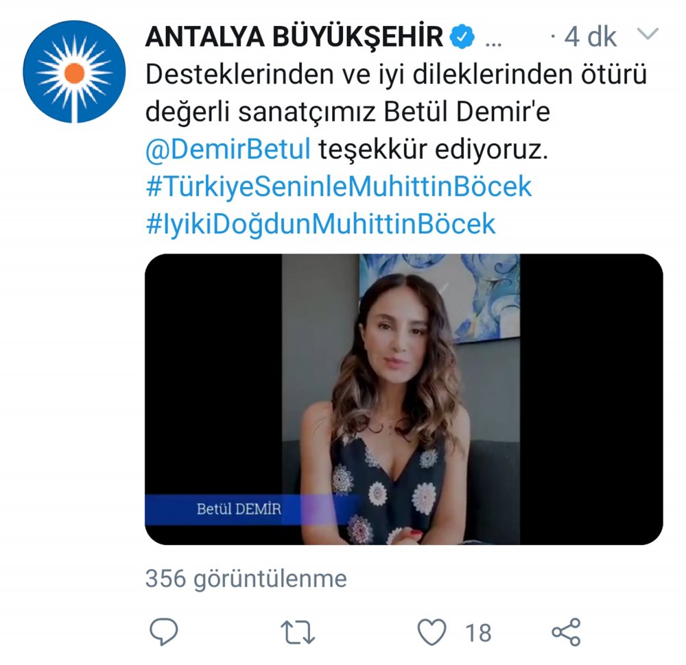 Sanatçılardan Başkan Böcek'e destek