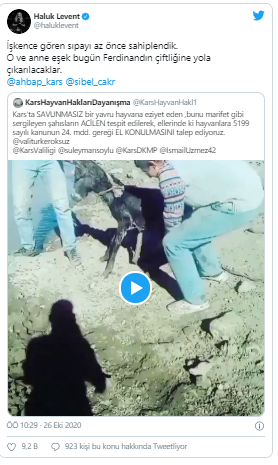 haluk-1.png