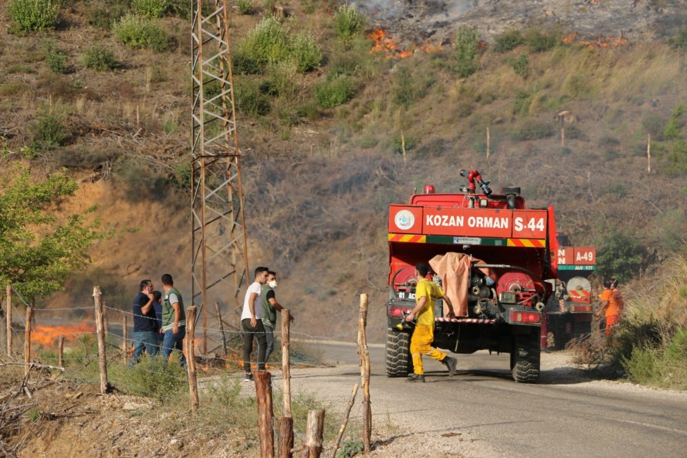 Kozan'da orman yangını