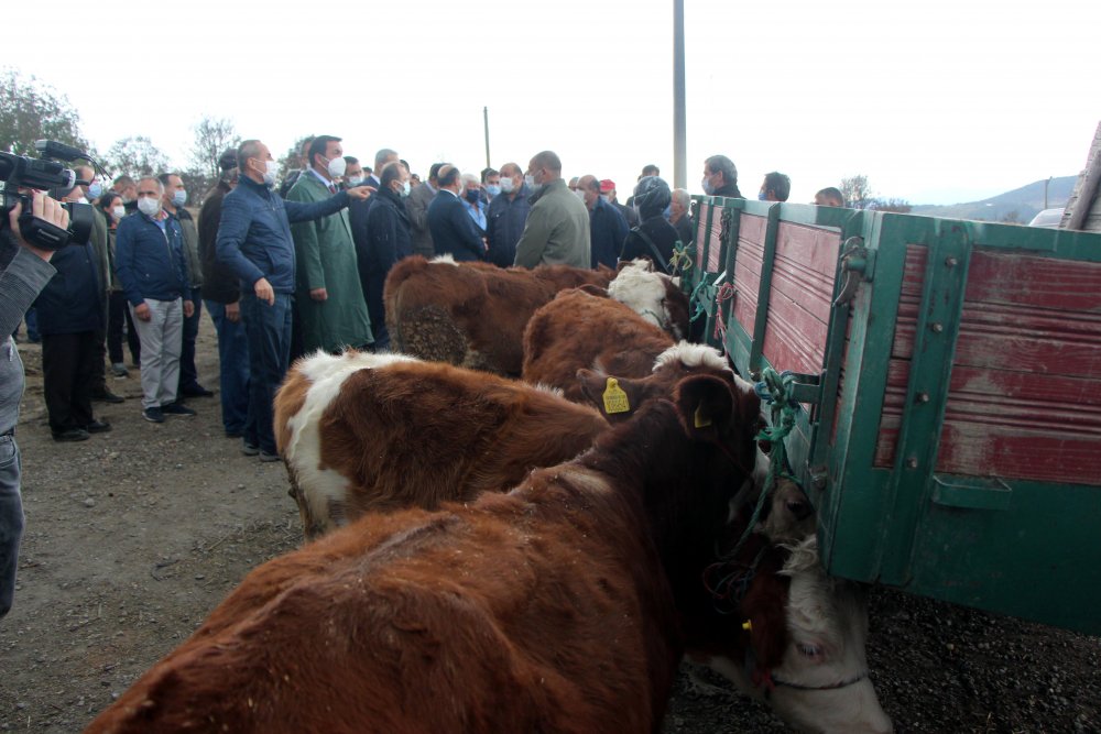 Hayvanları yangında telef olan köylülere hayvan verildi