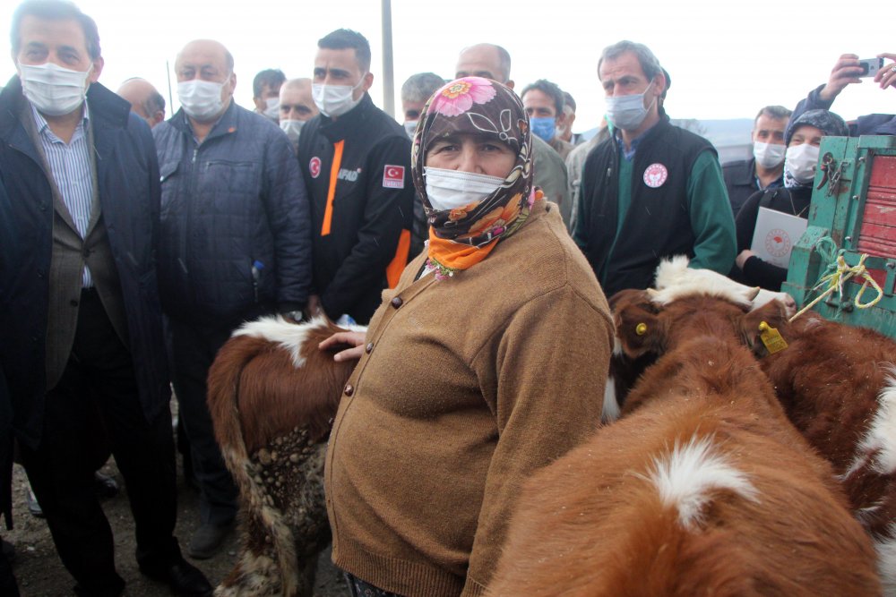 Hayvanları yangında telef olan köylülere hayvan verildi
