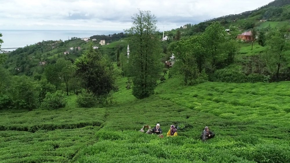Karadeniz'de iklim değişikliği uyarısı: Sel ve heyelanlar artacak