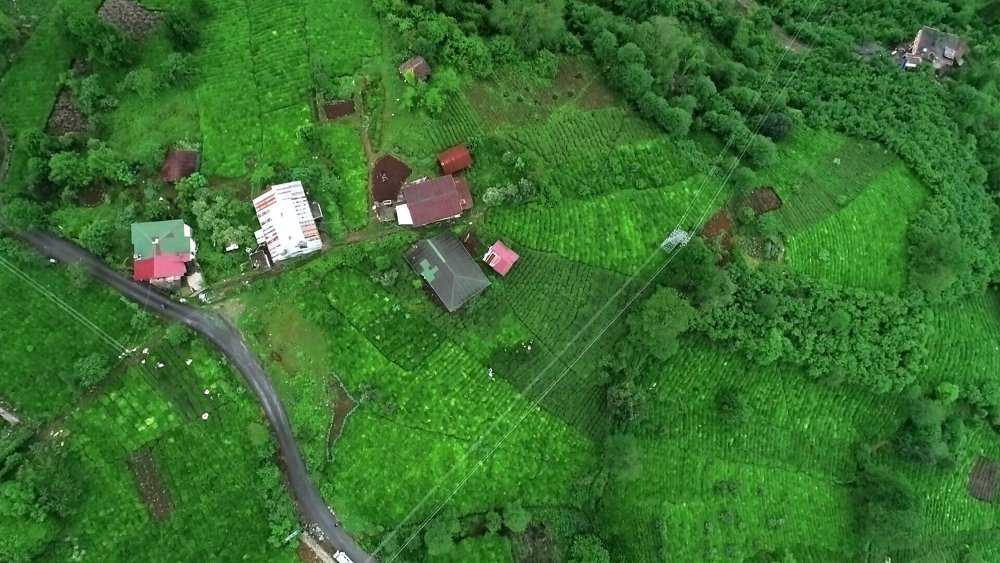 Karadeniz'de iklim değişikliği uyarısı: Sel ve heyelanlar artacak