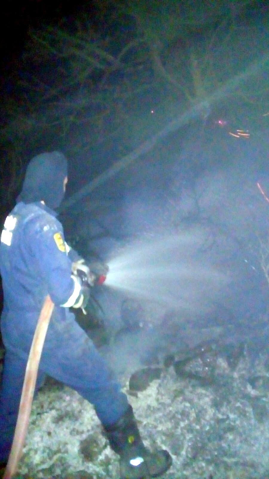 Bodrum'da 12 dönüm makilik alan yangında zarar gördü