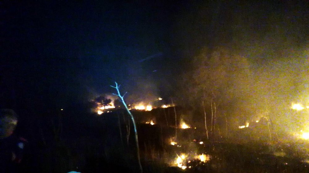 Bodrum'da 12 dönüm makilik alan yangında zarar gördü