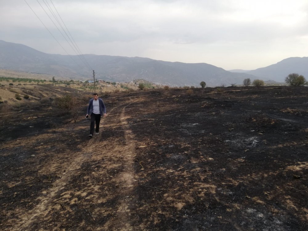 Elazığ'daki yangında 500 dönüm alan zarar gördü, binlerce arı öldü