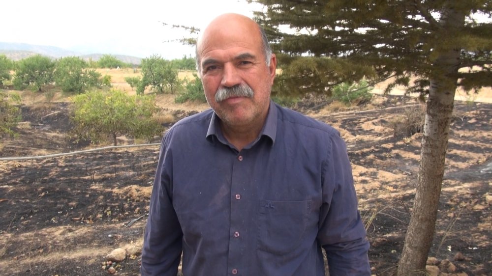 Elazığ'daki yangında 500 dönüm alan zarar gördü, binlerce arı öldü
