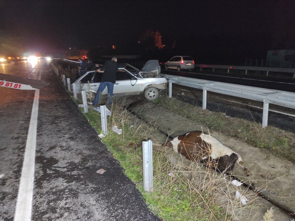 İneğe çarpan otomobil bariyerlere saplandı