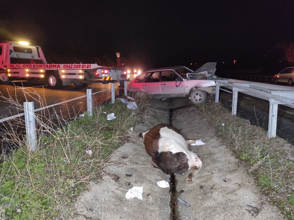 İneğe çarpan otomobil bariyerlere saplandı