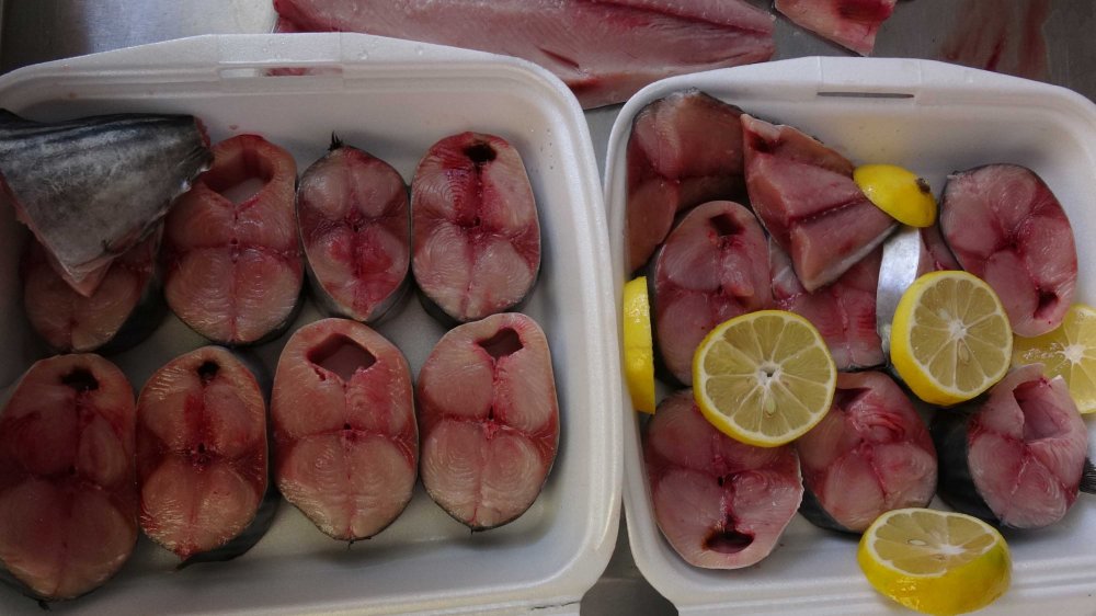 Şimdi ızgarada palamut zamanı