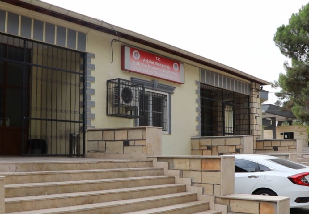 Yola çıkan köpek kazaya neden oldu: 1 ölü