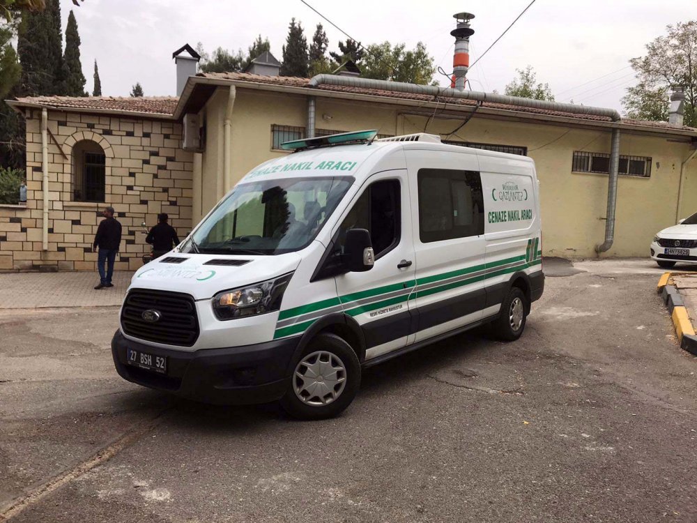Yola çıkan köpek kazaya neden oldu: 1 ölü