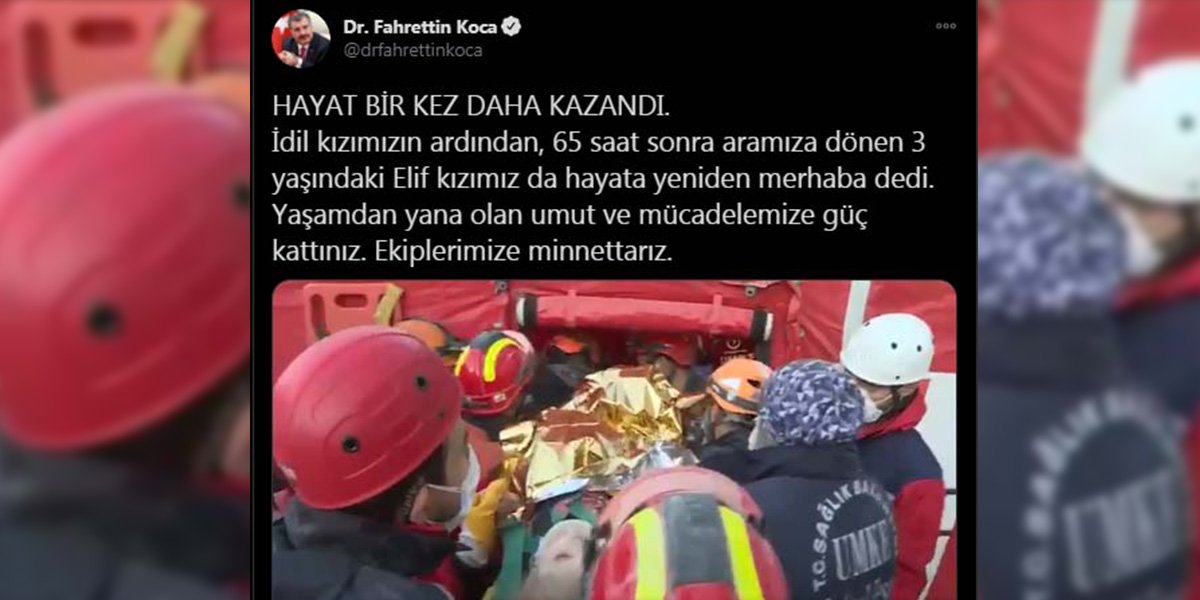 koca-1.jpg