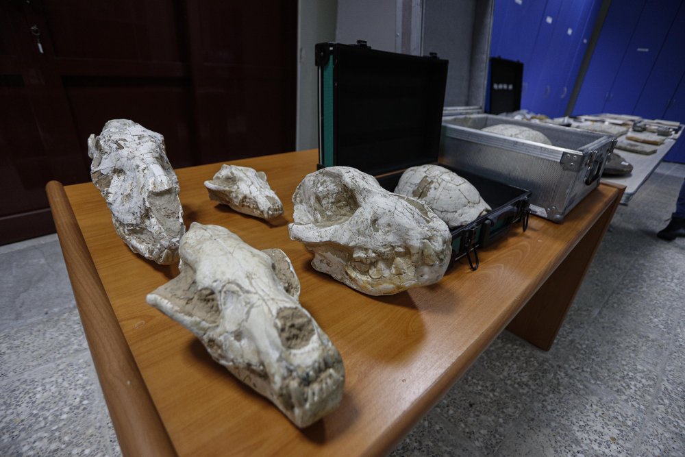 Adnan Oktar'ın kaçak fosilleri 417 milyon yıl öncesine ait çıktı