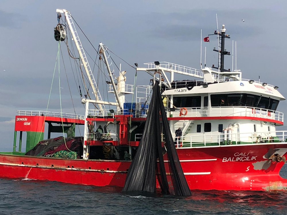 Ağlara takılmıştı, 4 metre boyundaki köpek balığı, yeniden denize bırakıldı.