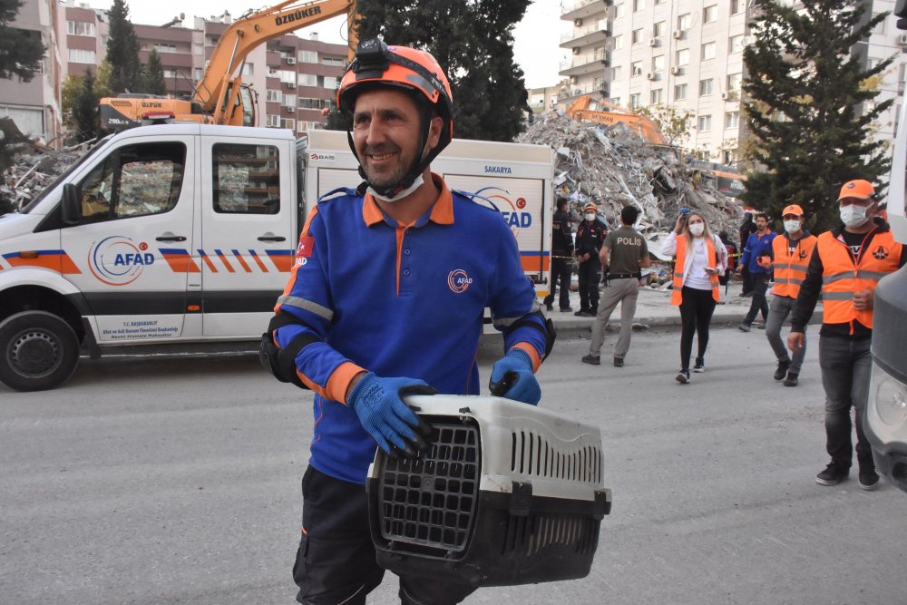 'Mestan' isimli kedi, Yılmaz Erbek Apartmanı enkazından 97 saat sonra canlı çıkarıldı