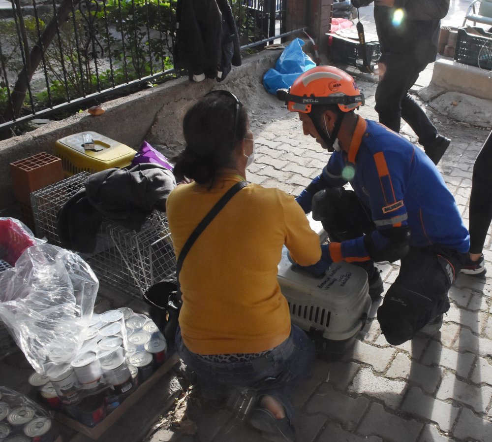 'Mestan' isimli kedi, Yılmaz Erbek Apartmanı enkazından 97 saat sonra canlı çıkarıldı