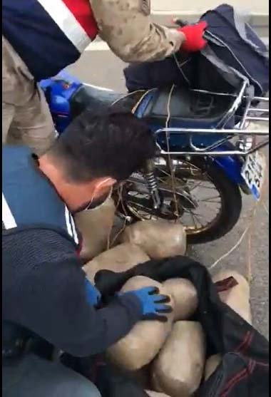 Narkotik köpek 'Tamir'in de yer aldığı operasyonda 28 kilo esrar ele geçirildi
