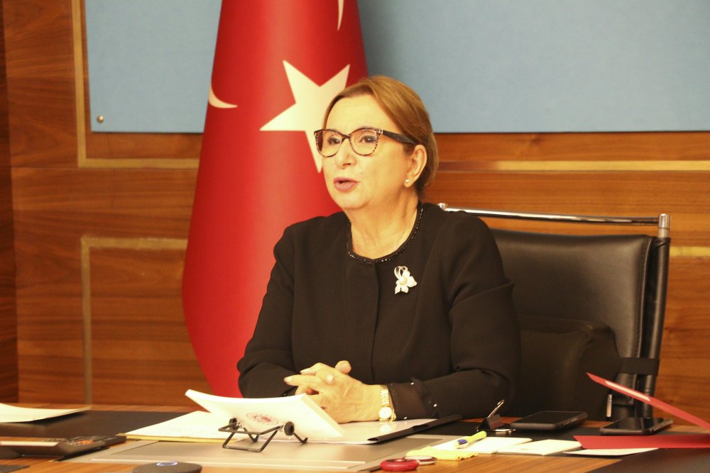 Pekcan: Daha fazla kadınımızı ihracatçı yapmak istiyoruz