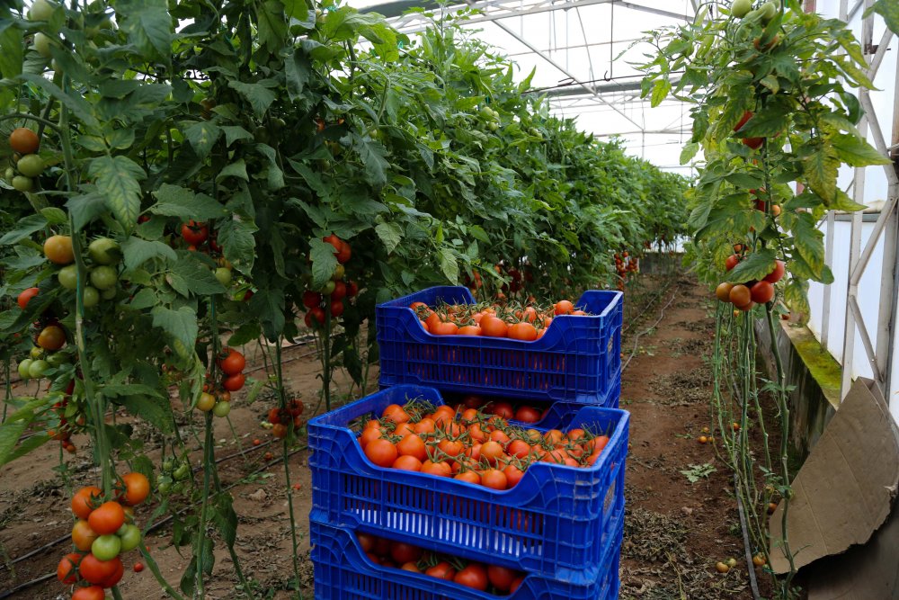 Batı Akdeniz ihracatı, 1.5 milyar doları aştı