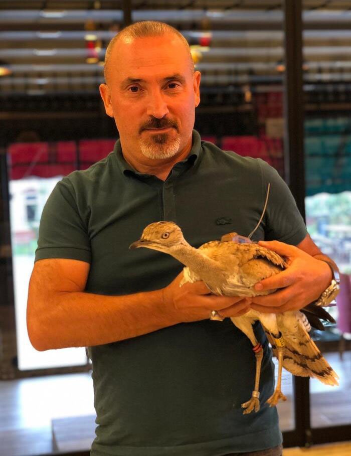 7 yıl sonra Trabzon’da görülen yakalı toy kuşunu avcılar vurdu