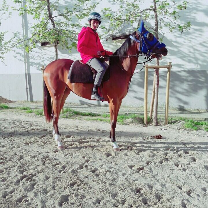 At yarışından dönen apranti kazada hayatını kaybetti