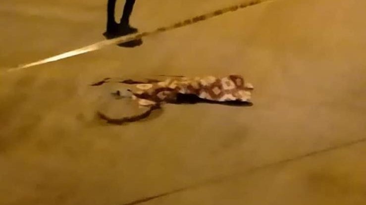 Eski eşini öldürdü, annesi ile komşusunu yaralayıp intihar etti