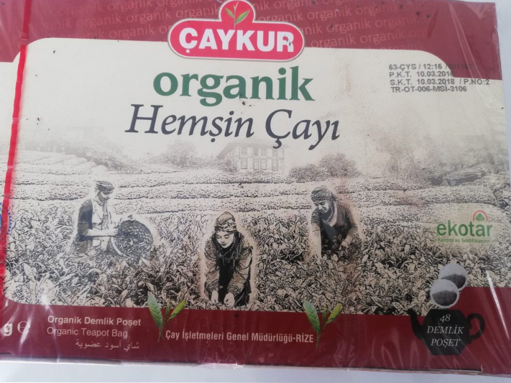 cayyy-1.jpg