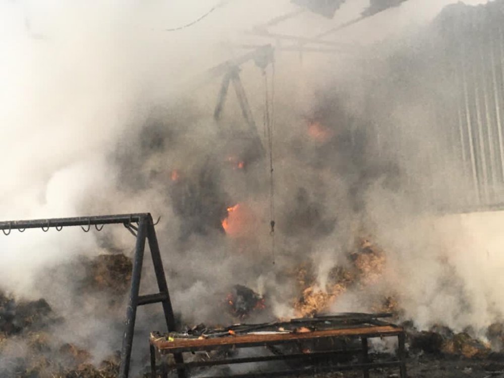 Ahırda yangın çıktı, 2 büyükbaş öldü