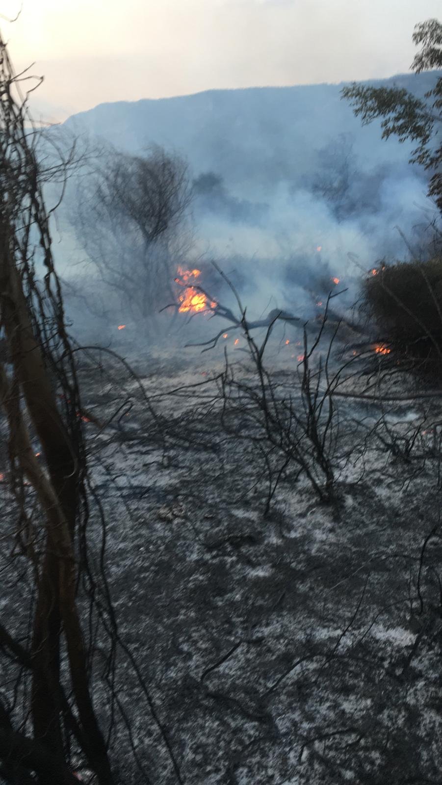 Muğla'da 2 bölgede çıkan sazlık yangını söndürüldü