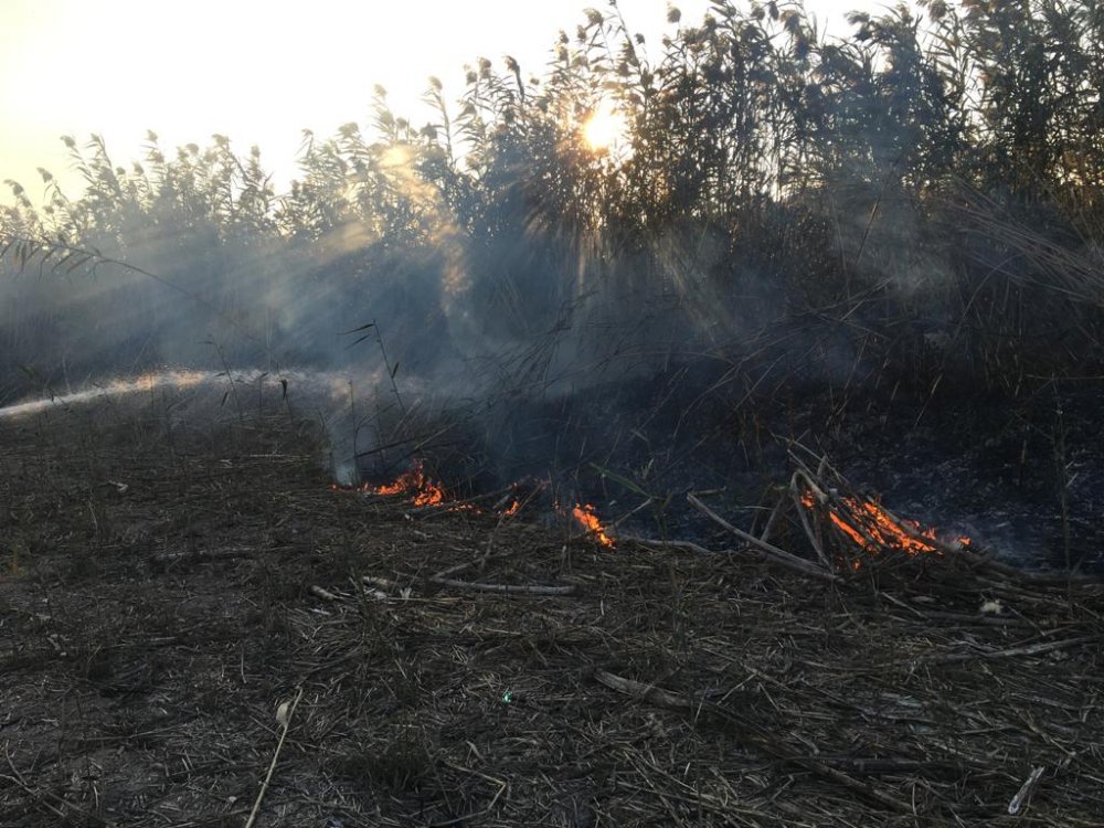 Muğla'da 2 bölgede çıkan sazlık yangını söndürüldü