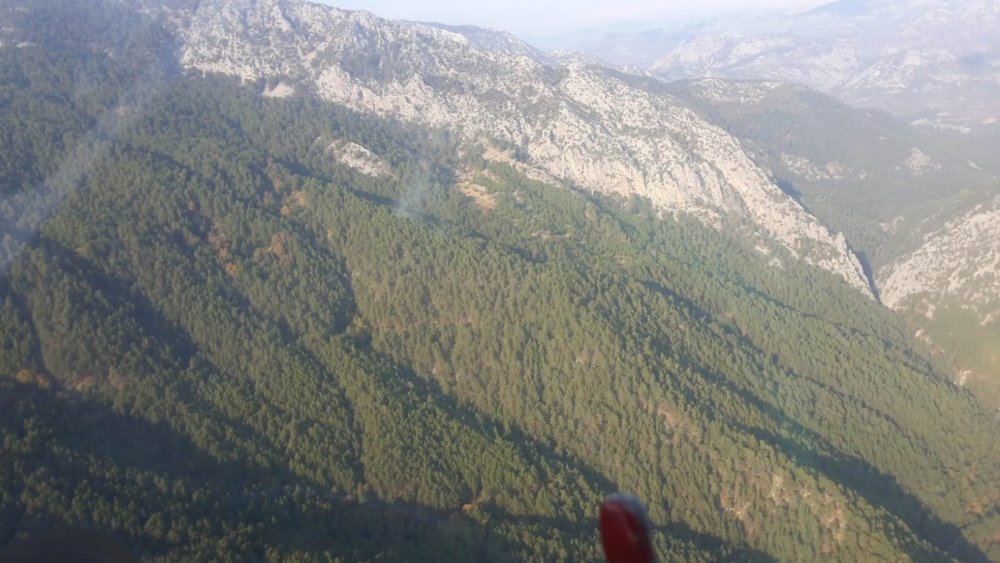 Yıldırım düştü, orman yangını çıktı