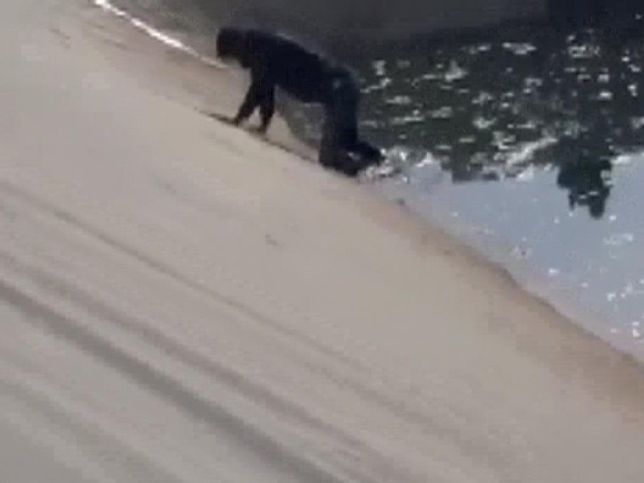 Havuzu düşen kardeşini kurtardı, kendisi ve arkadaşı boğuldu