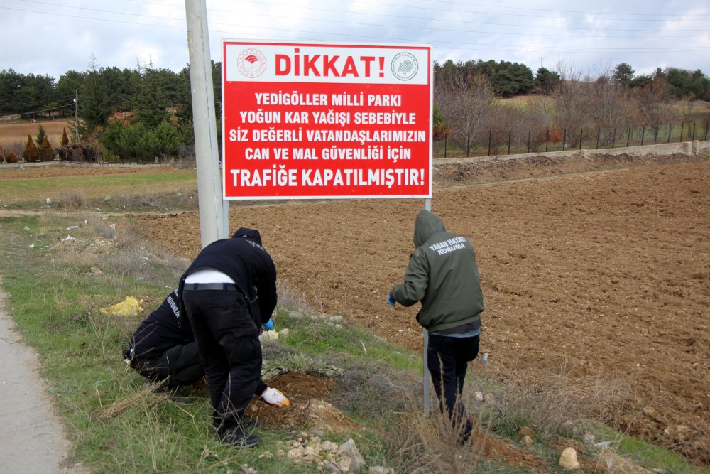 Yedigöller yolu kar ve buzlanma nedeniyle trafiğe kapatıldı, yüzlerce tatilci geri döndü