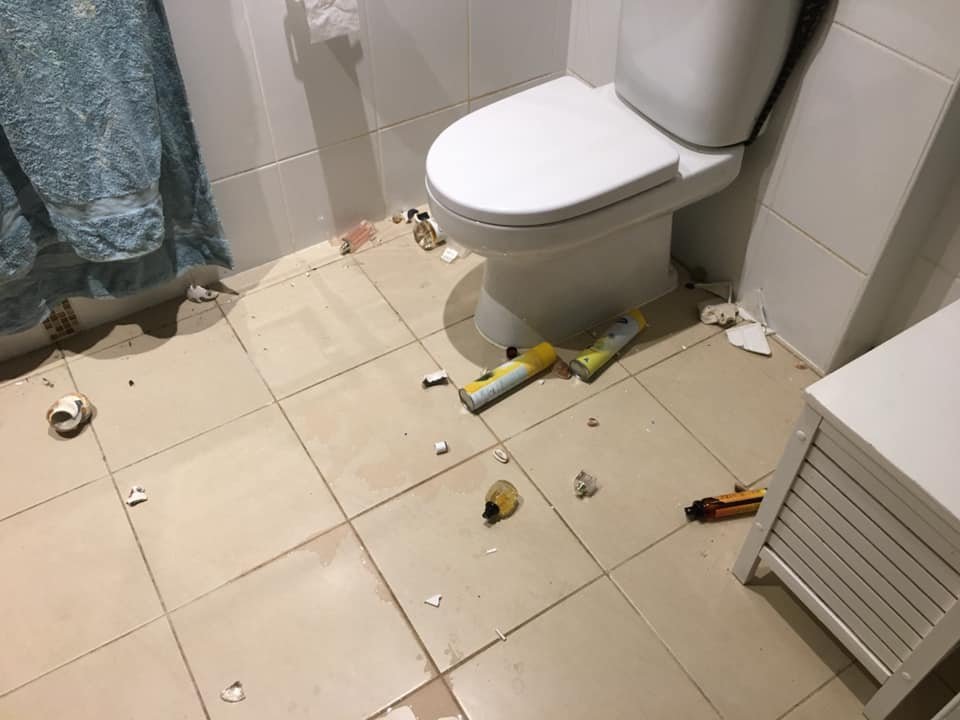 Banyoya giren dev piton korkuttu