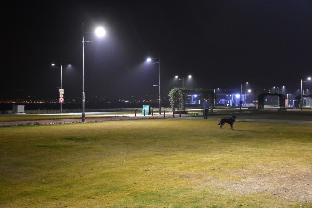İzmir, sokağa çıkma kısıtlamasının ardından sessizliğe büründü